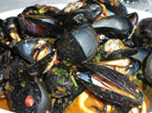 Cozze