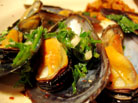 Cozze